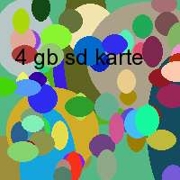 4 gb sd karte